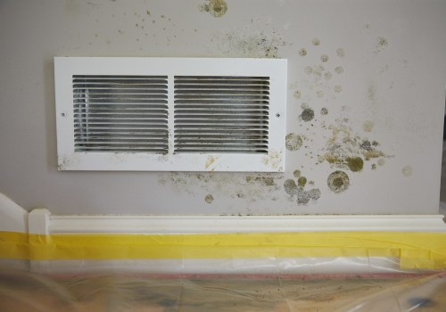 Prevent Mold Growth in Your Vents in Miami Beach, FL